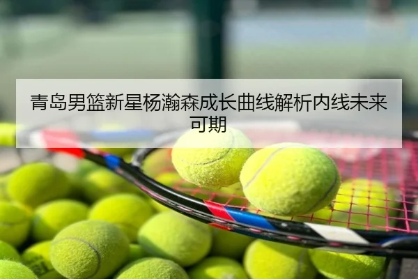 青岛男篮新星杨瀚森成长曲线解析内线未来可期