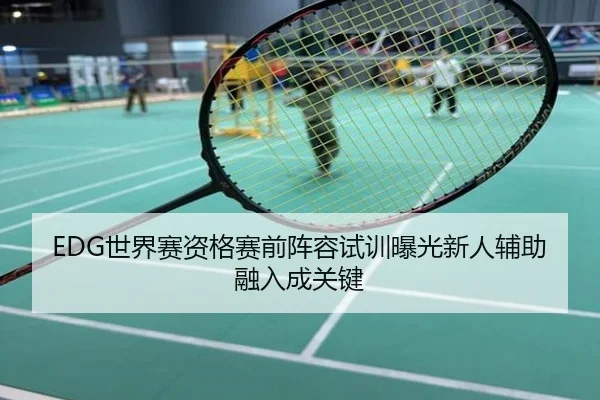 EDG世界赛资格赛前阵容试训曝光新人辅助融入成关键